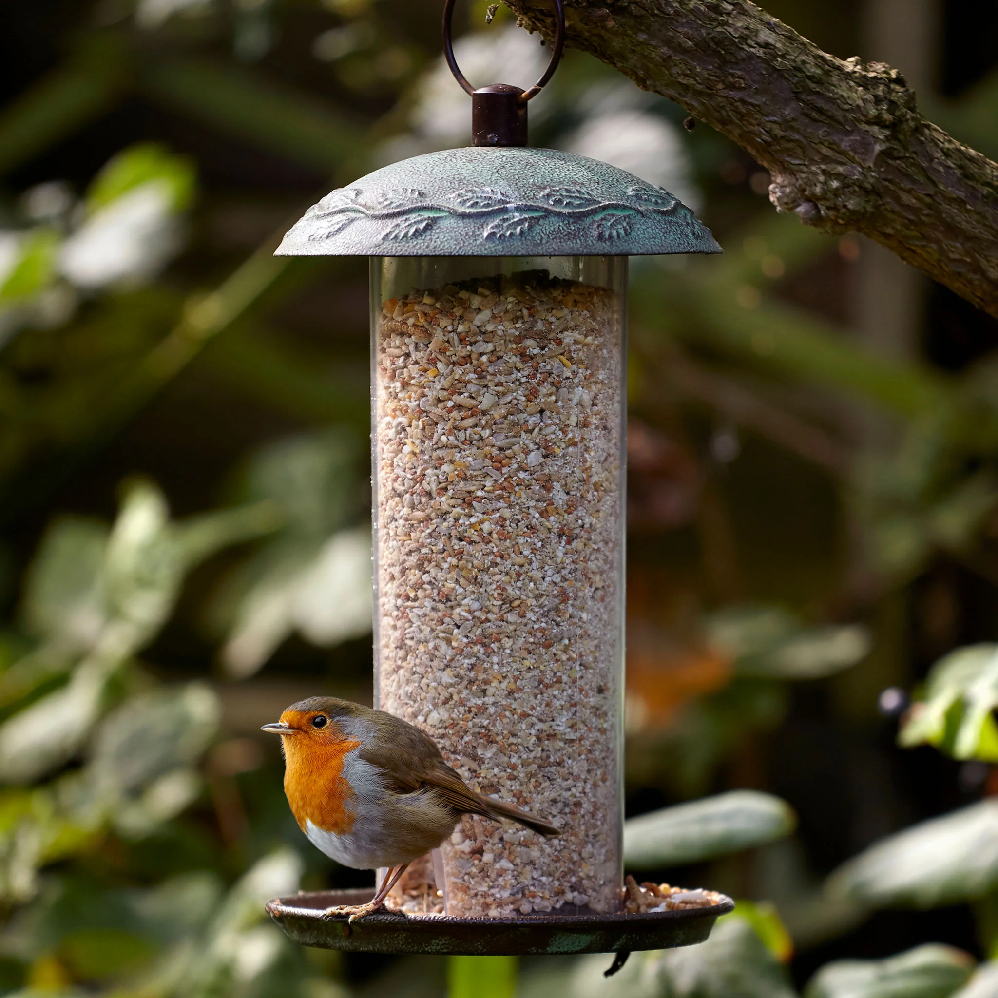 Peckish Secret Garden Seed Feeder - Image 4